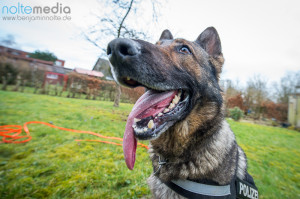 Tara_20150016