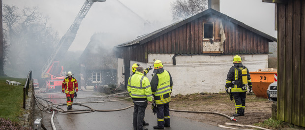 Feuer_20150226