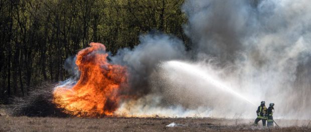 FeuerWees_07